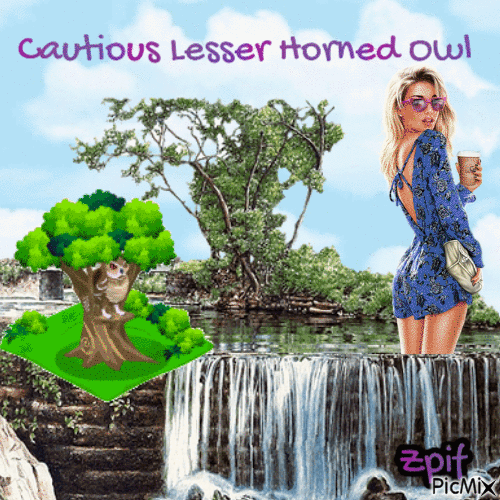 Cautious Lesser horned owl - GIF animado grátis
