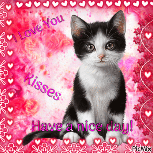 Kitten - Bezmaksas animēts GIF