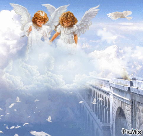 dove and angels - GIF animé gratuit
