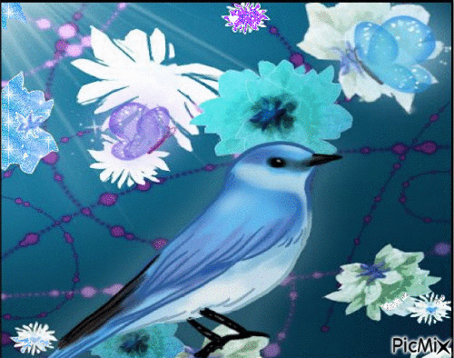 mon oiseau - Besplatni animirani GIF