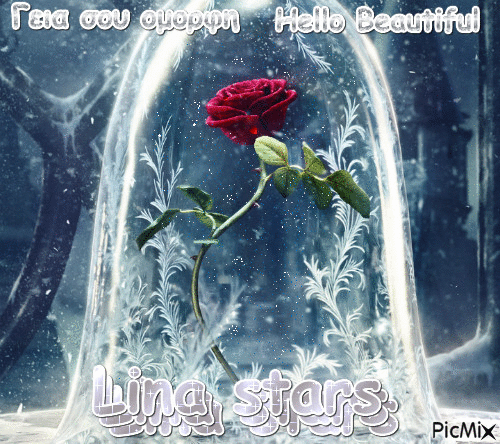 lina stars - GIF animasi gratis