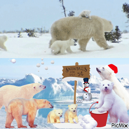 bear family - Ingyenes animált GIF