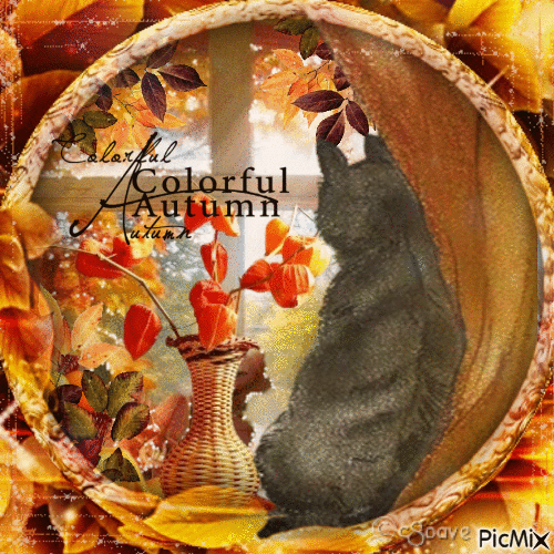 Autumn cat black - Бесплатный анимированный гифка