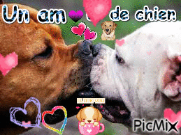 Un amour de chien <3 - Gratis geanimeerde GIF