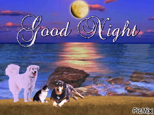 good night - Gratis animerad GIF