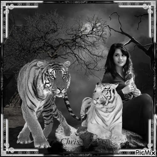 Her and the tigers - δωρεάν png