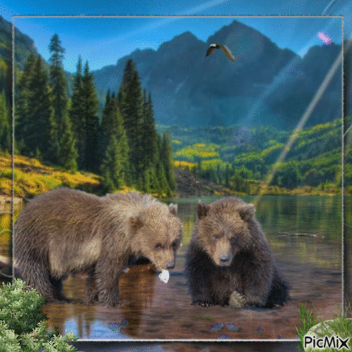 Медведи. - Free animated GIF