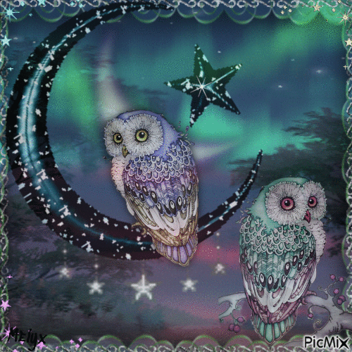 moon and owls - GIF animé gratuit