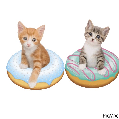 donuts - zadarmo png