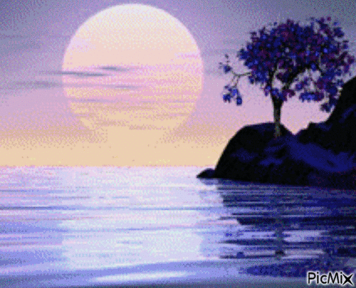 coucher de soleil - Zdarma animovaný GIF
