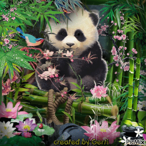 Hello!! Panda - Ilmainen animoitu GIF