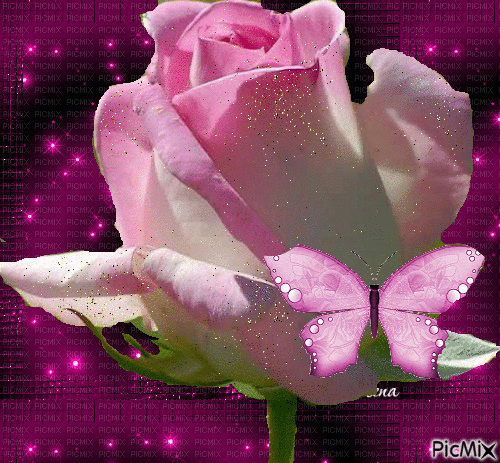 trandafir roz - Ilmainen animoitu GIF