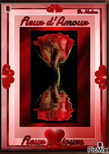 Fleur d'Amour, Fleur toujours. - Free animated GIF