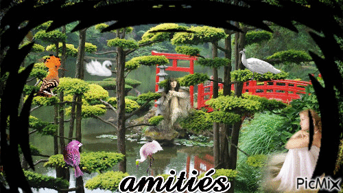 amités - Zdarma animovaný GIF