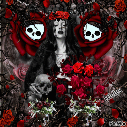 black and white , red roses - Gratis animeret GIF