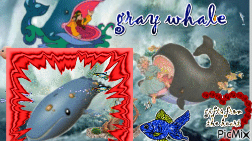 gray whale - Безплатен анимиран GIF