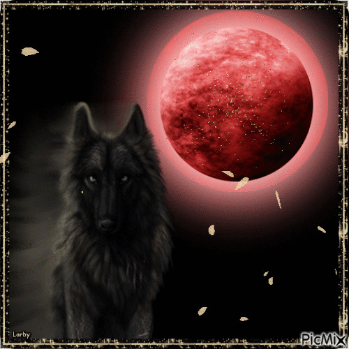 Silhouette de loup et lune rouge !!!!