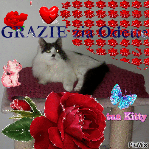Kitty x odette - GIF animado gratis