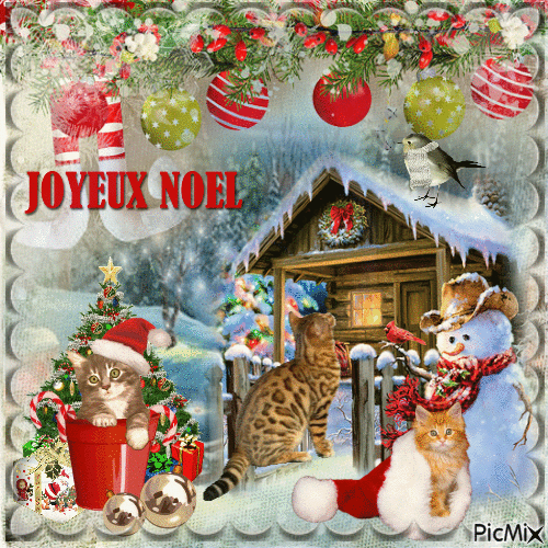 Chat de Noël - Бесплатный анимированный гифка