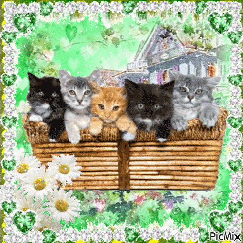 Basket of Kittens - Free animated GIF