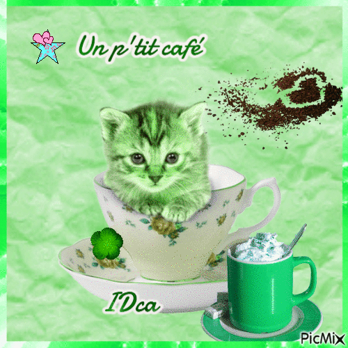Un p'tit café les chatons - Gratis geanimeerde GIF