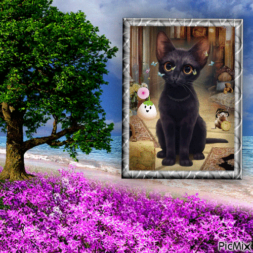 chaton noir - GIF animate gratis