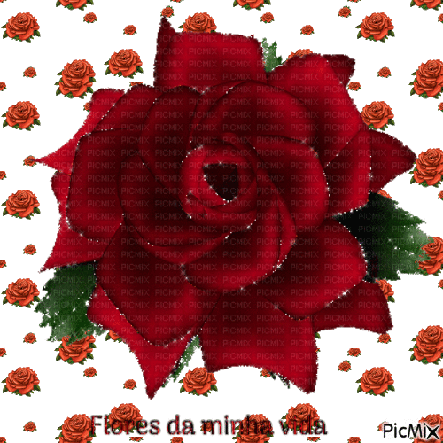 Flores da minha vida - Ingyenes animált GIF