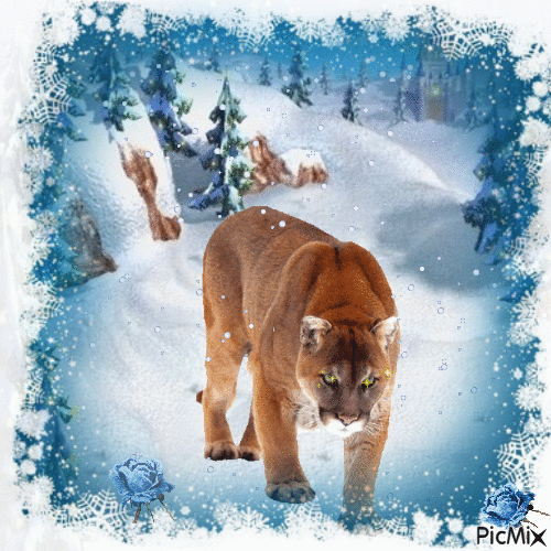 winter hiver lion - Бесплатни анимирани ГИФ