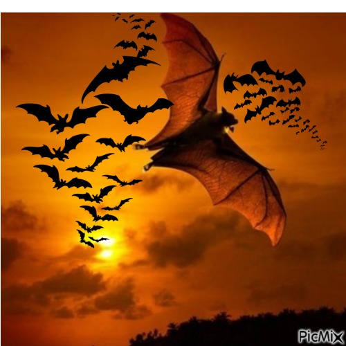 murciélagos ocaso - gratis png