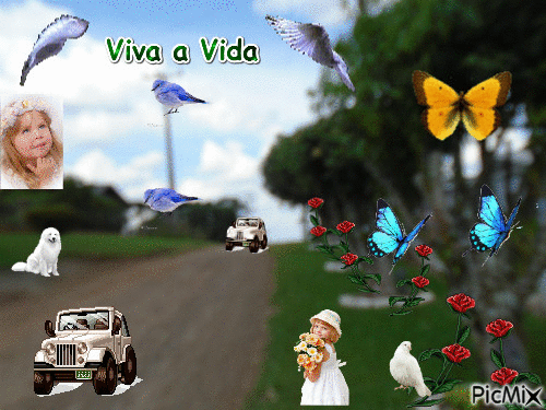 Vida - Darmowy animowany GIF