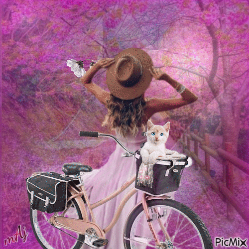 Concours "Fille et bicyclette" - GIF animé gratuit
