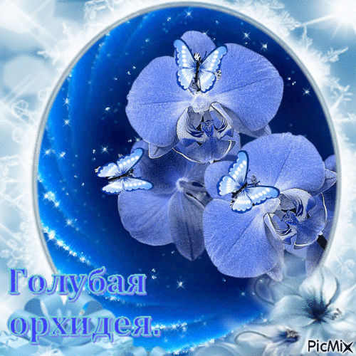 Голубая орхидея. - Bezmaksas animēts GIF