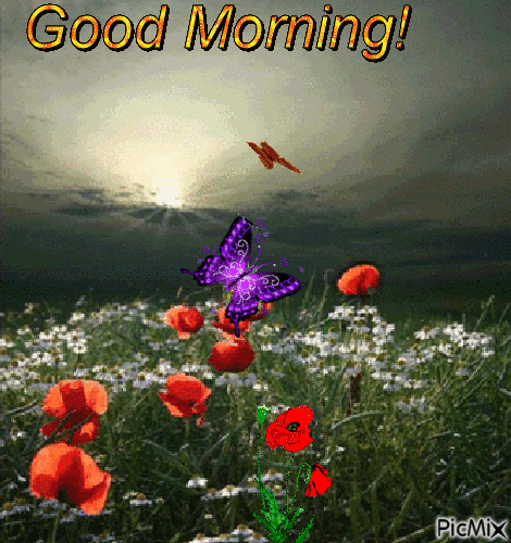 good morning! - Бесплатный анимированный гифка