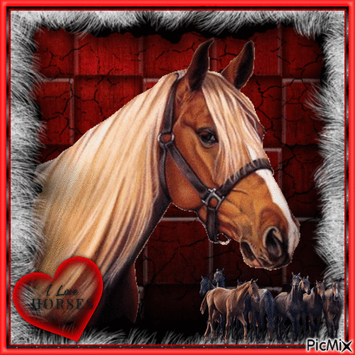 Horses - Black, white and red tones - Free animated GIF