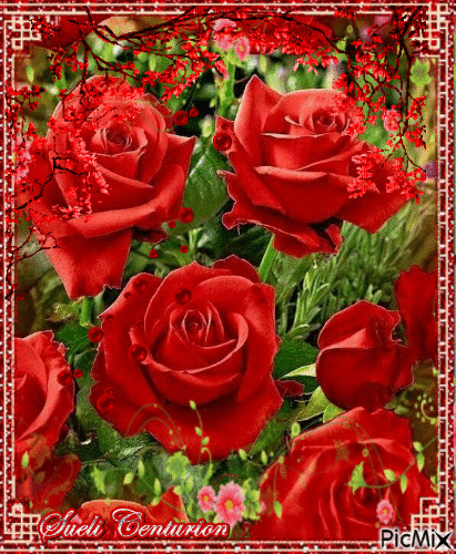 Rosas Vermelhas - GIF animate gratis