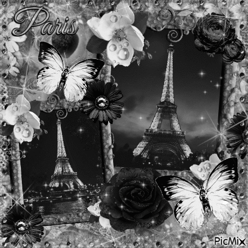 Paris ♥