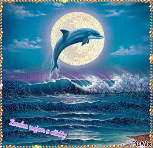 delfín - Gratis animerad GIF
