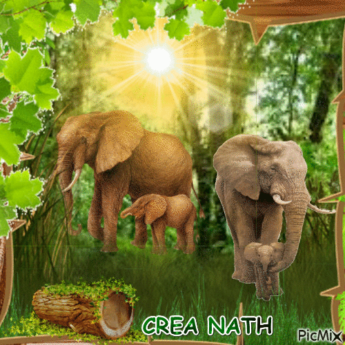 crea nath, les éléphants - Gratis animeret GIF