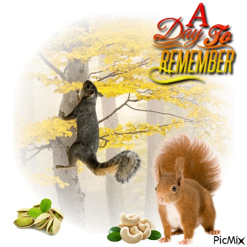 A Day To Remember - besplatni png