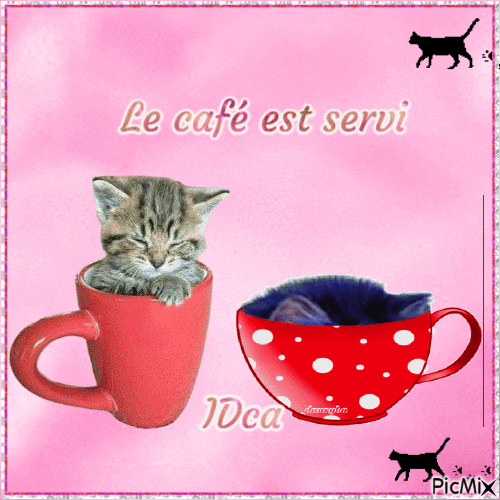 Le café est servi  pour les chats - Безплатен анимиран GIF