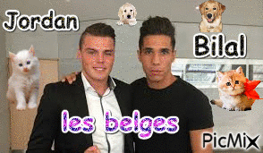 les ch'tis - Free animated GIF