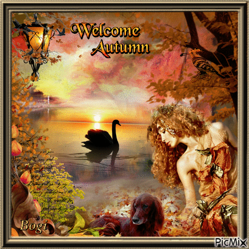 Magical sunset on the lake... - Бесплатни анимирани ГИФ