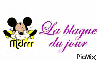 mdr - Free animated GIF