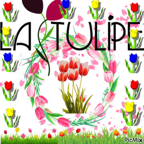 les tulipes - Nemokamas animacinis gif