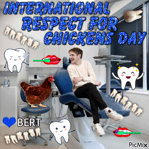 international respect for chickens day Bert - Бесплатный анимированный гифка