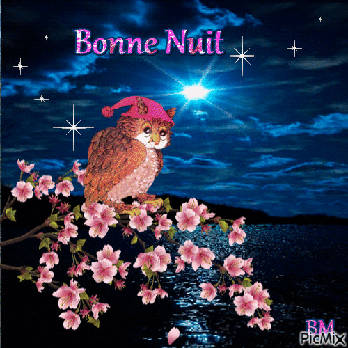 Bonnet de nuit - Nemokamas animacinis gif