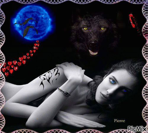 passion des loups - Free animated GIF