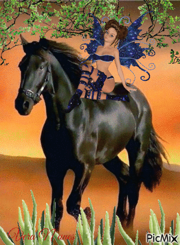 Cavalo - Darmowy animowany GIF
