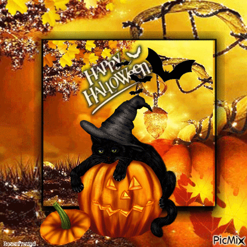 Halloween Katze - Ingyenes animált GIF