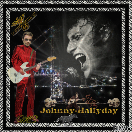 Johnny Hallyday - Zdarma animovaný GIF